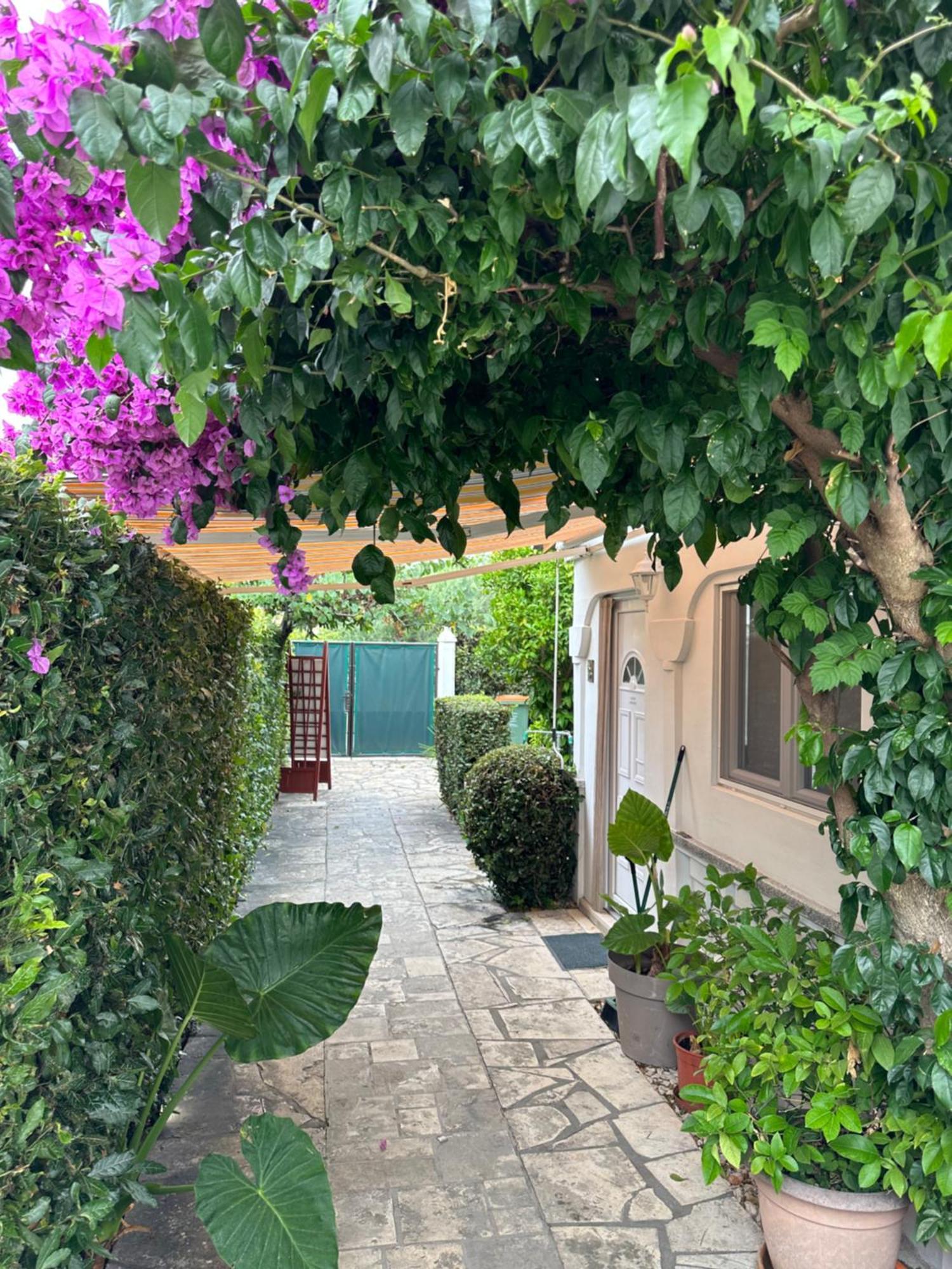Luxury ResidenceZola Zadar Exterior foto